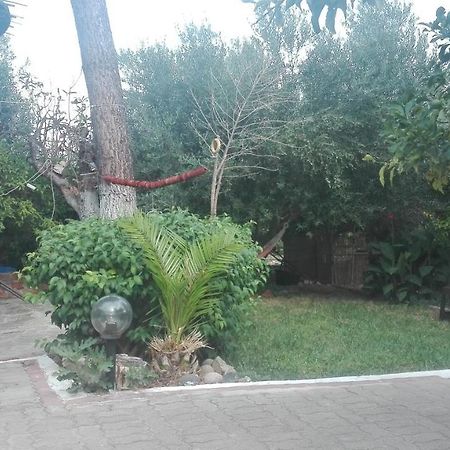Panos And Chrisas House Villa Drepano  Bagian luar foto